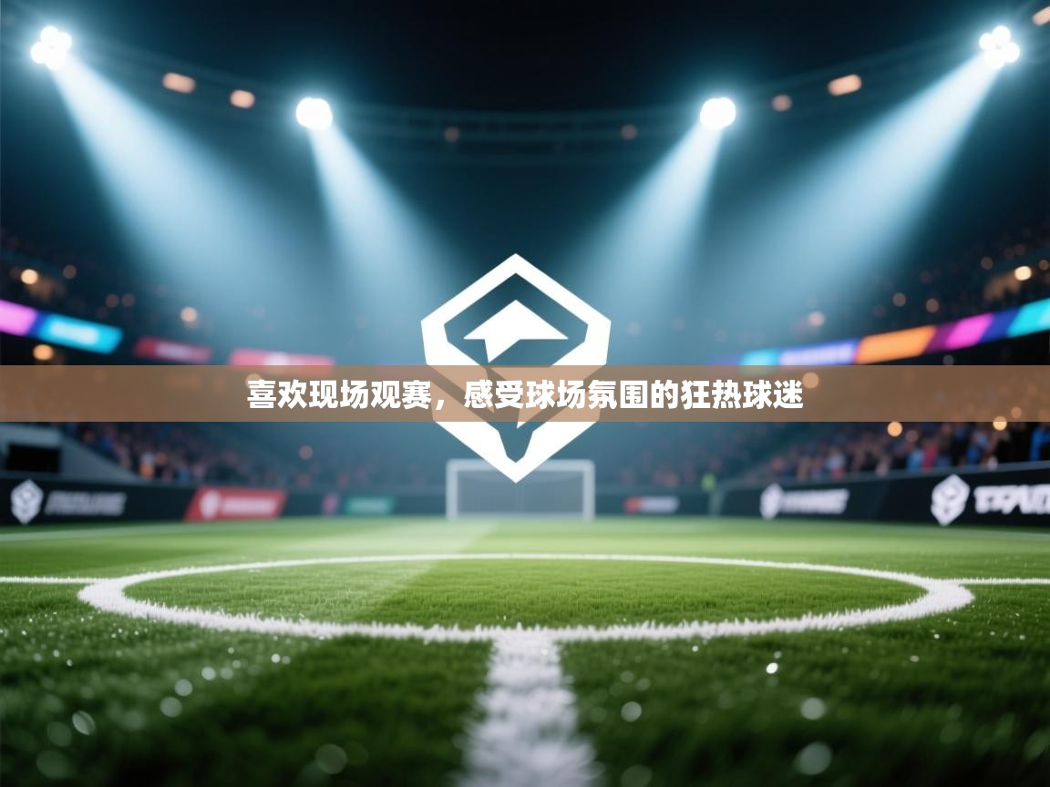 喜欢现场观赛，感受球场氛围的狂热球迷  第2张