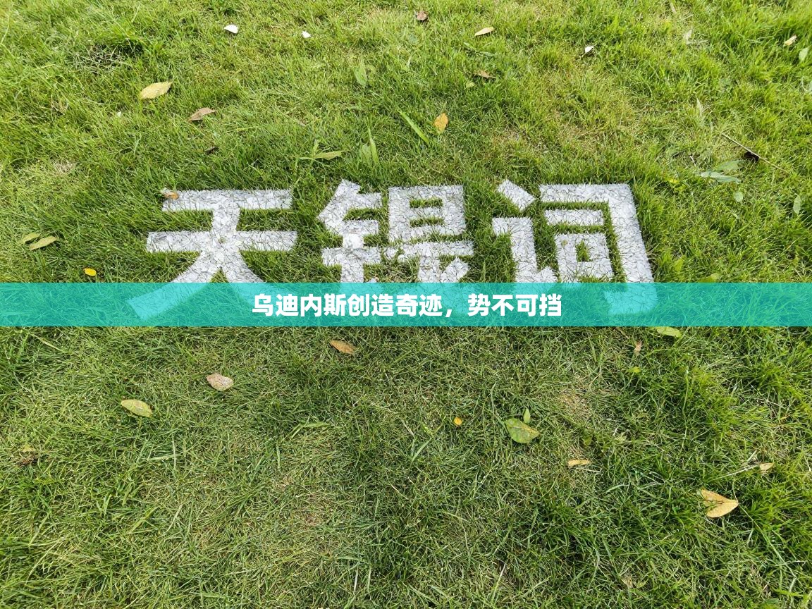 乌迪内斯创造奇迹，势不可挡  第1张